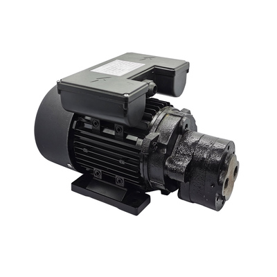 Rated Power 0.55-7.5W Oil Pump